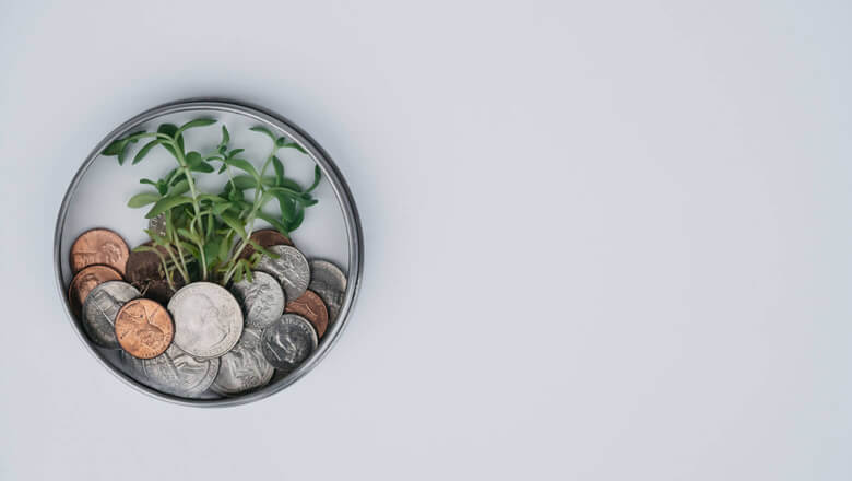 coins with a plant