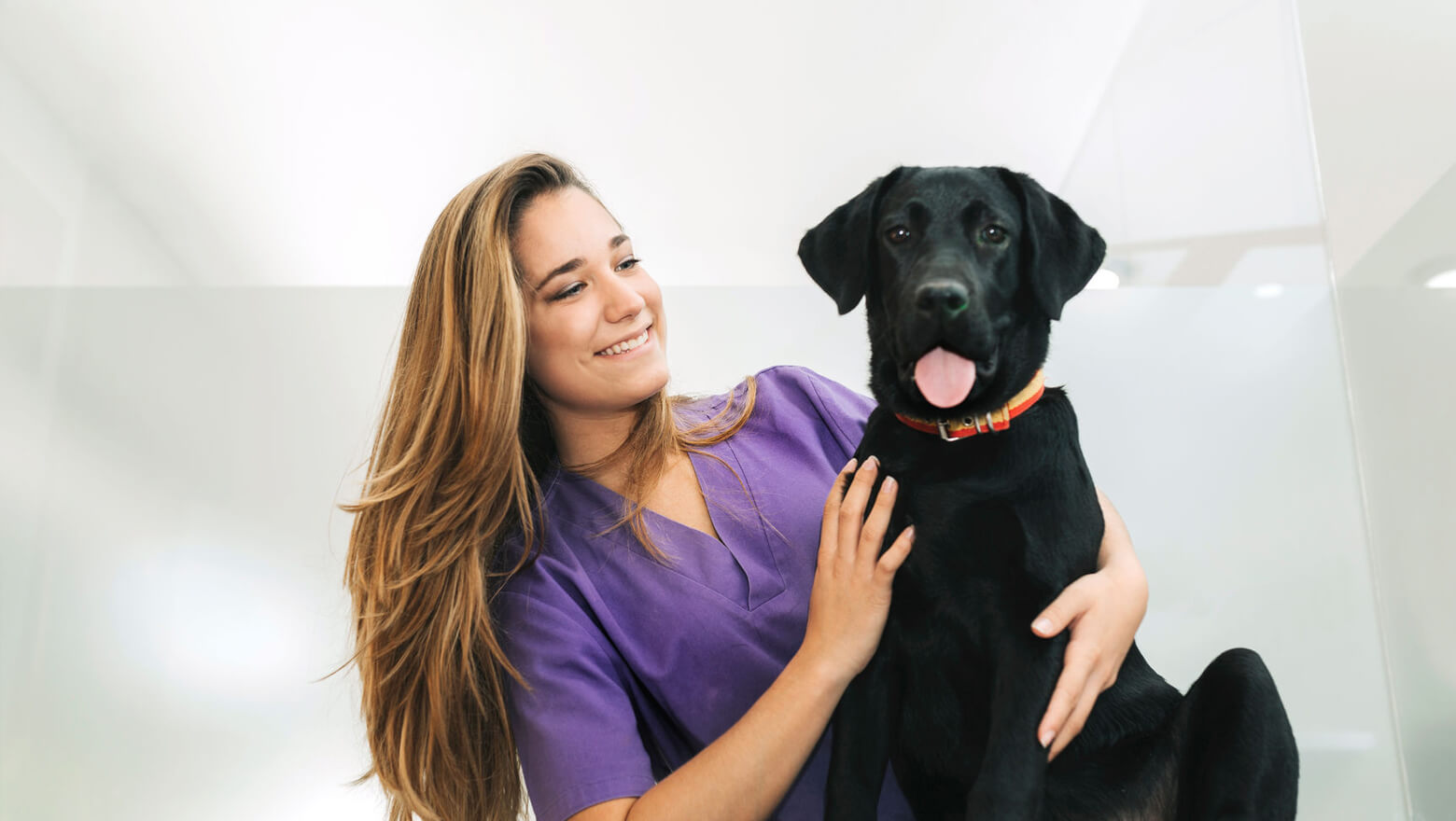 How to Pay Off Veterinary School Loans SoFi