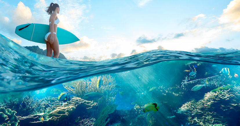 surfer and view of underwater reef