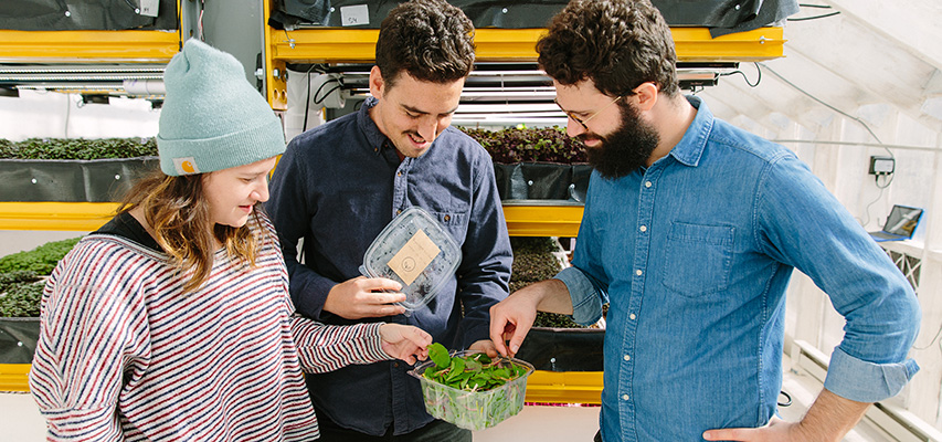 Ben Silverman coworkers snacking on greens