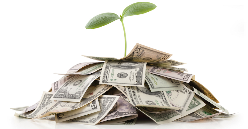 plant growing from money