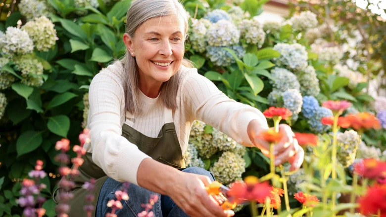 New $6,000 Senior Tax Deduction Explained