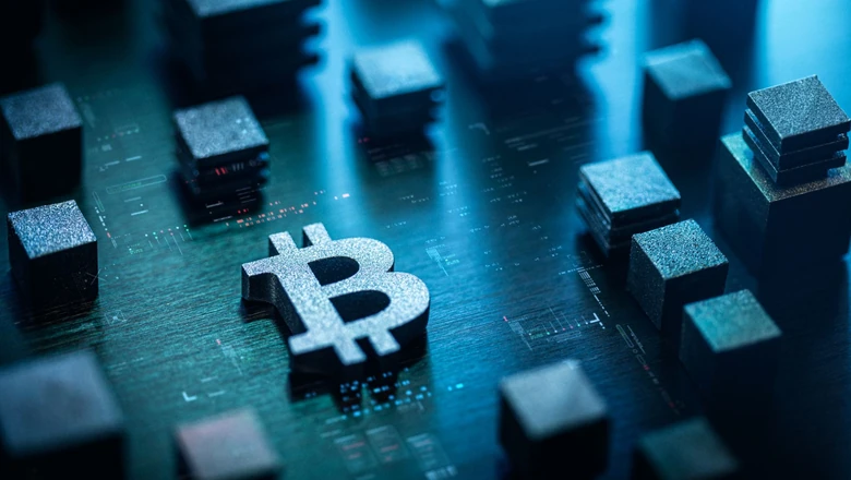 Who Are the Largest Bitcoin Holders Today? (2026)