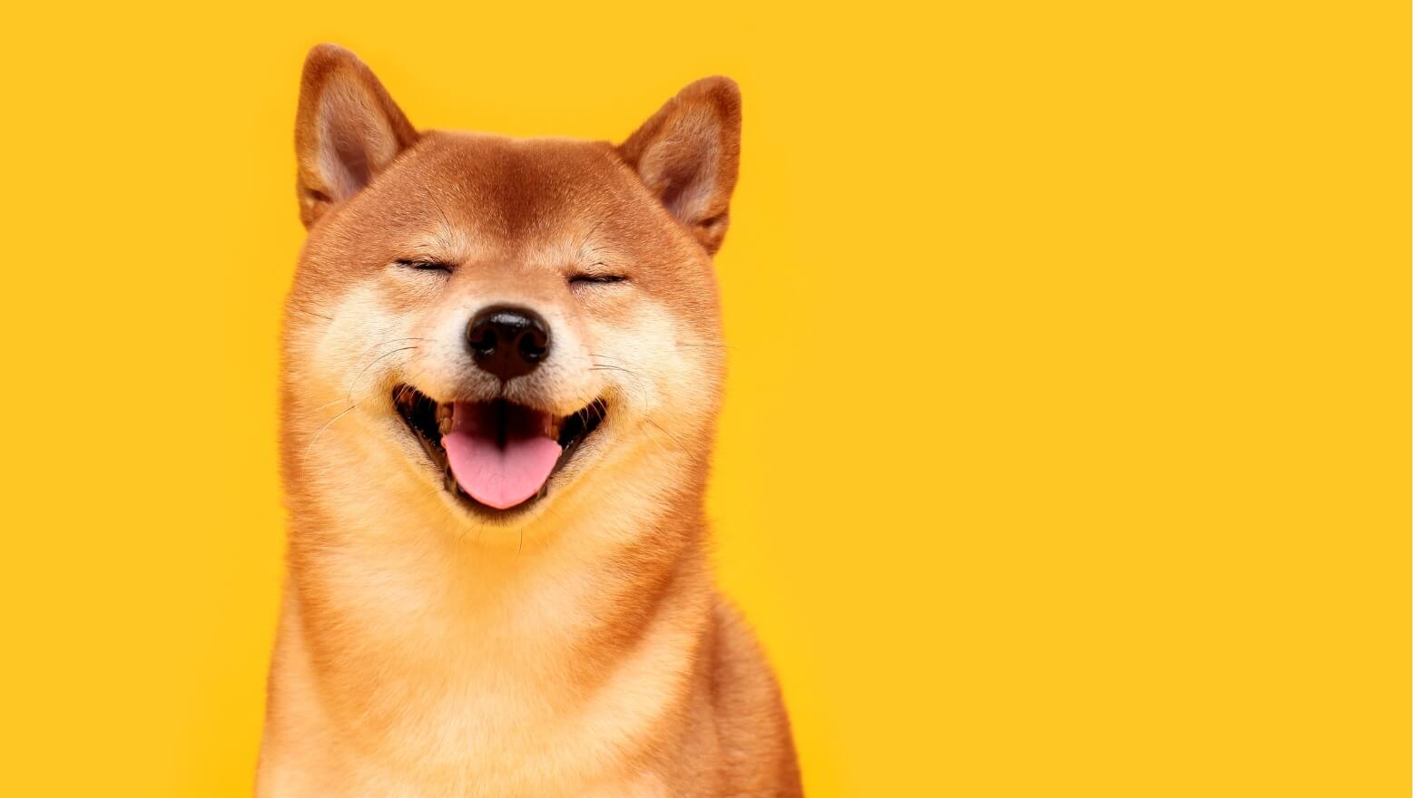 dogecoin