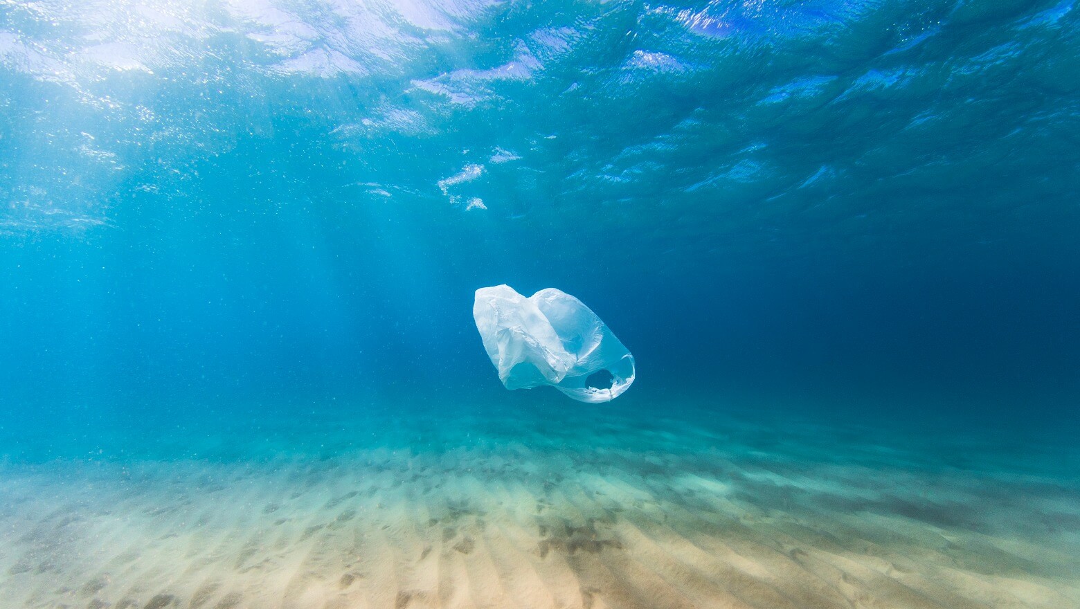 S&P 500 Companies Helping Clean the Oceans | SoFi