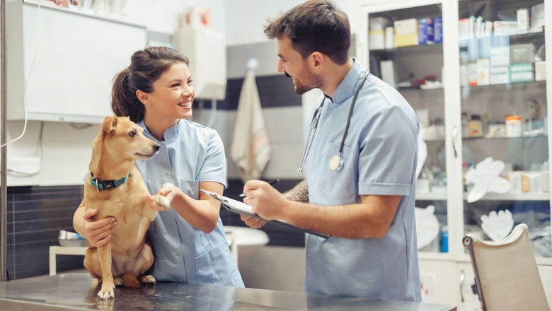Veterinarian vs Vet Tech: What's the Difference?