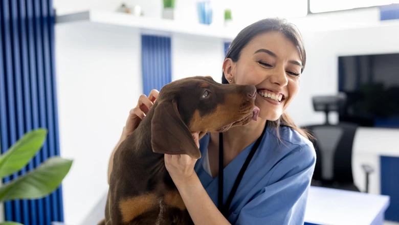 What Are Veterinary Practice Loans?