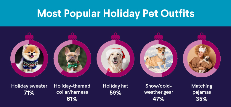 Most Popular Holiday Pet Outfits