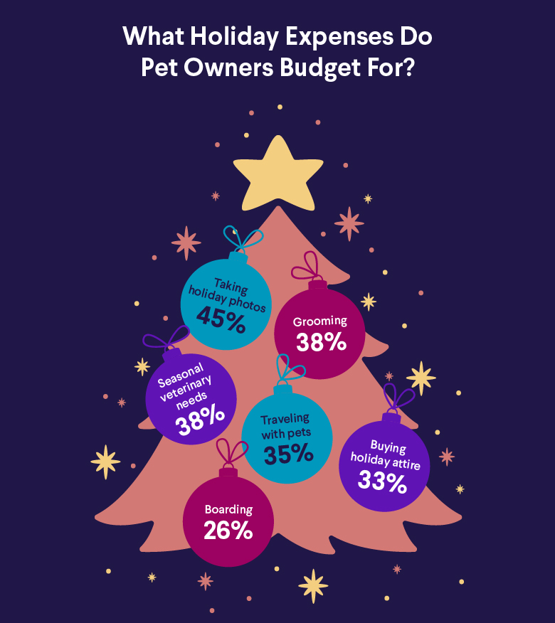 What Holiday Expenses Do Pet Owners Budget For?