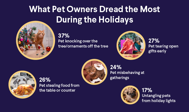 The Next Big Holiday Fad Could Be These Digital Pets That Appear