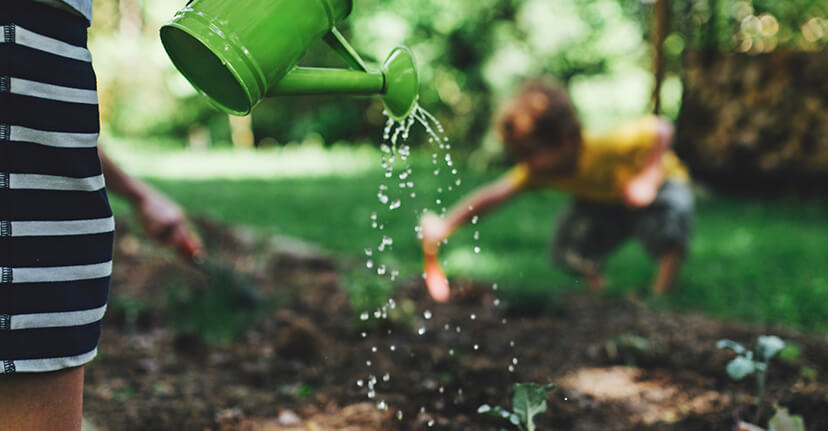 backyard gardening