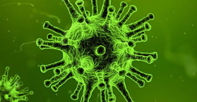 coronavirus in green